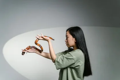 what is a snake department of education